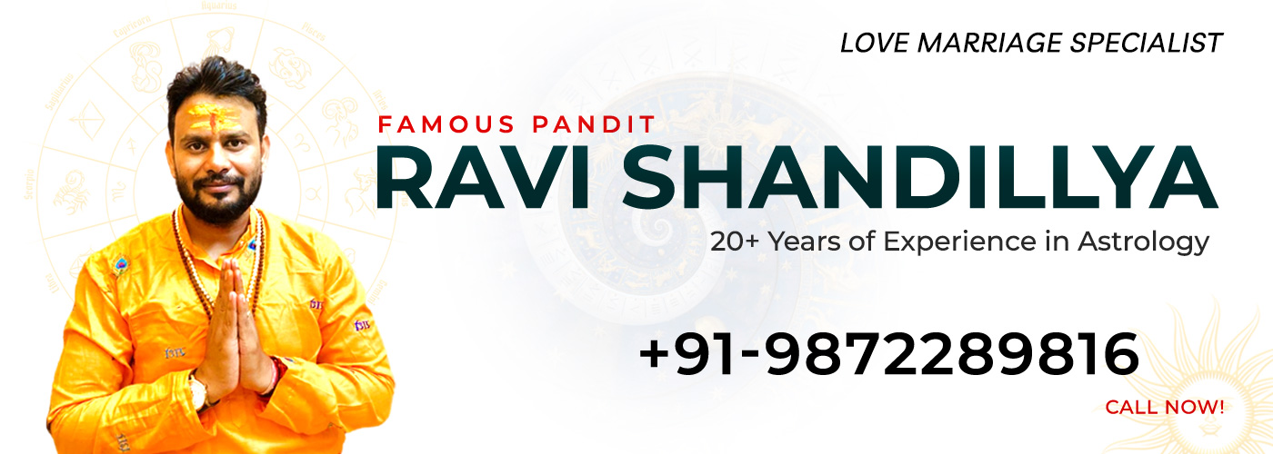 Pandit Ravi Shandillya